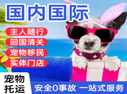浪头航空运输国际宠物托运 【国